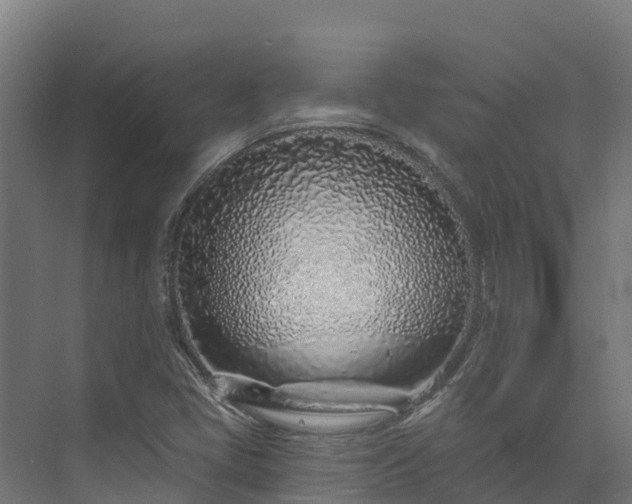 X0000074021405200608281419