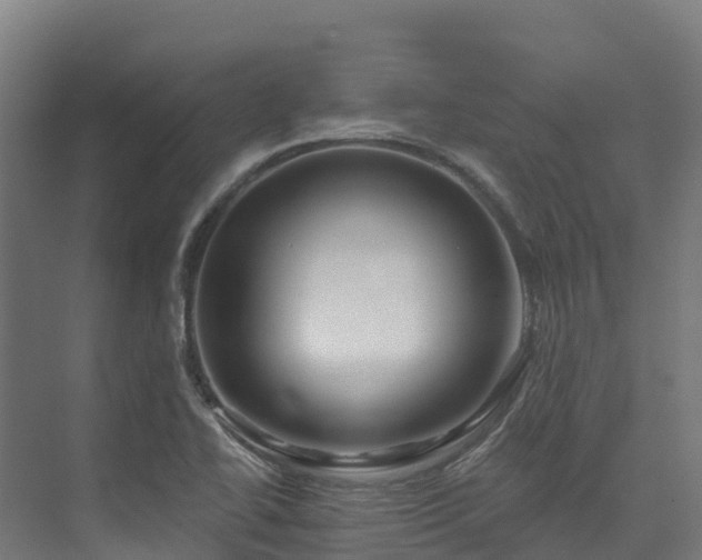 X0000074021414200608281420