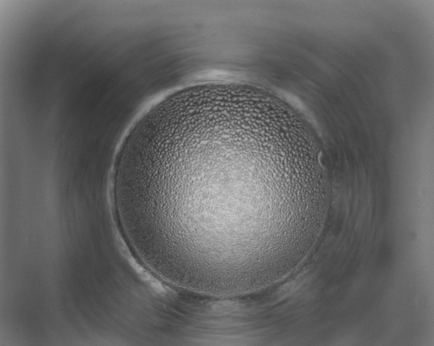 X0000074021421200608281420