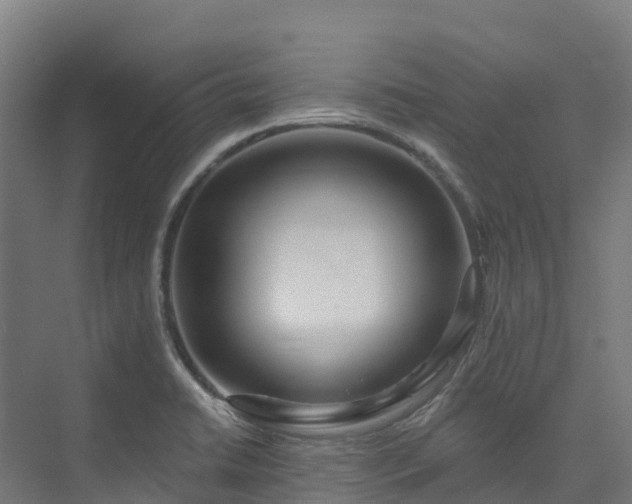 X0000074021422200608281420