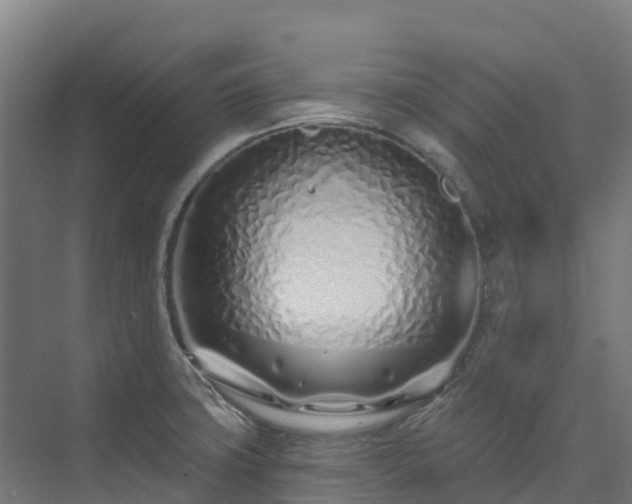 X0000074021427200608281420