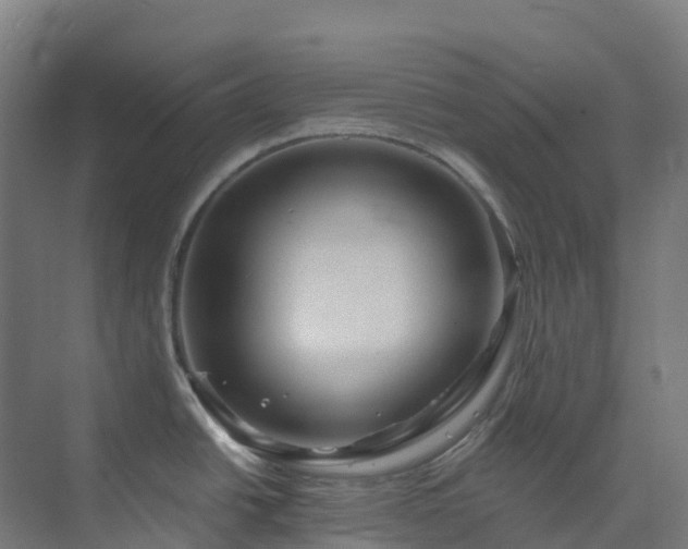 X0000074021438200608281420