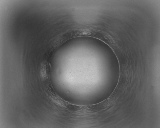 X0000074021442200608281419