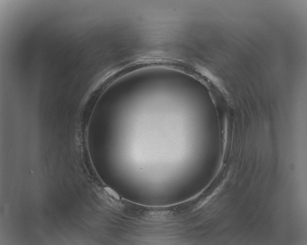X0000074021453200608281419