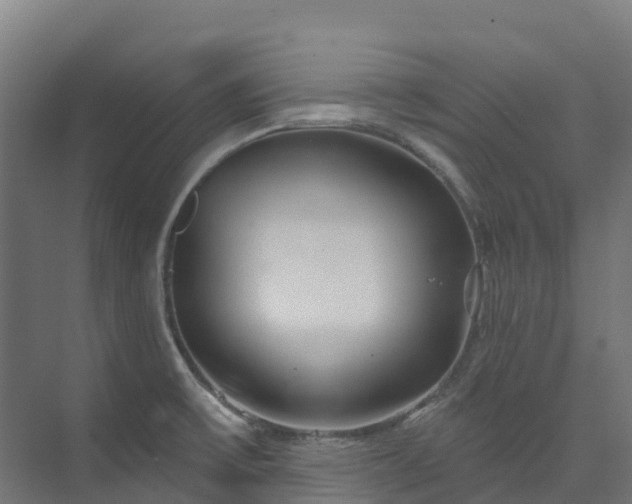 X0000074021475200608281419