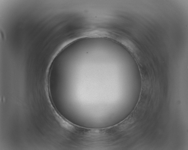 X0000074021478200608281419