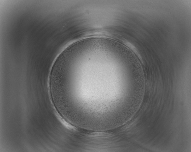X0000074021482200608281418
