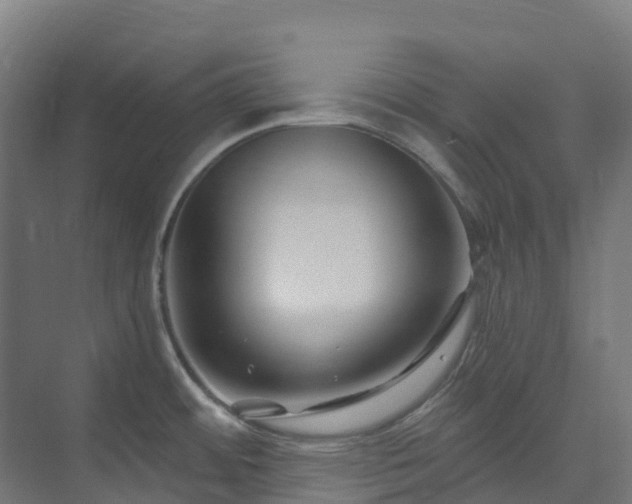 X0000074021484200608281418