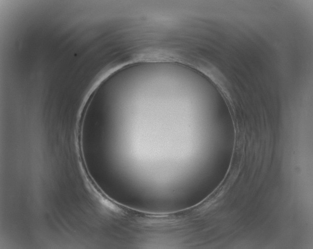 X0000074021486200608281418