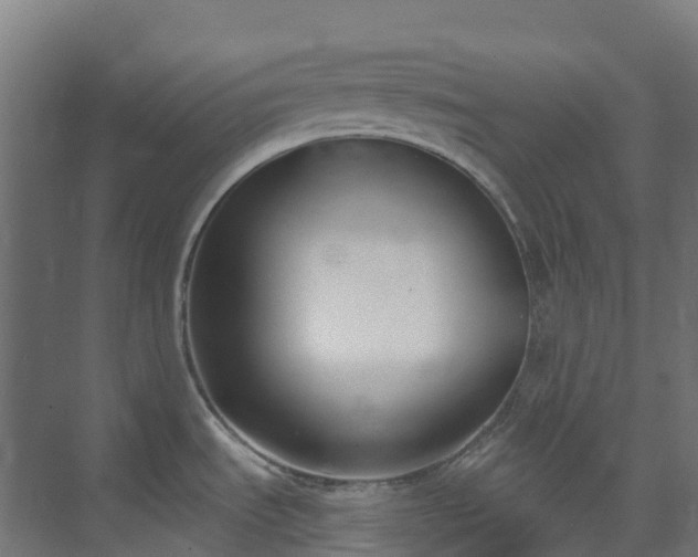 X0000074021535200608281418