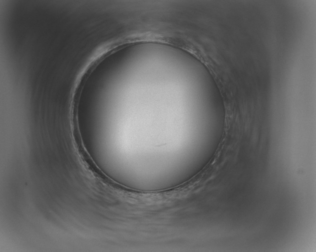 X0000074020006200609061127