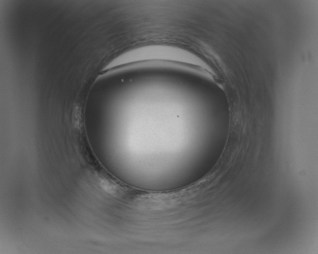 X0000074020025200609061127