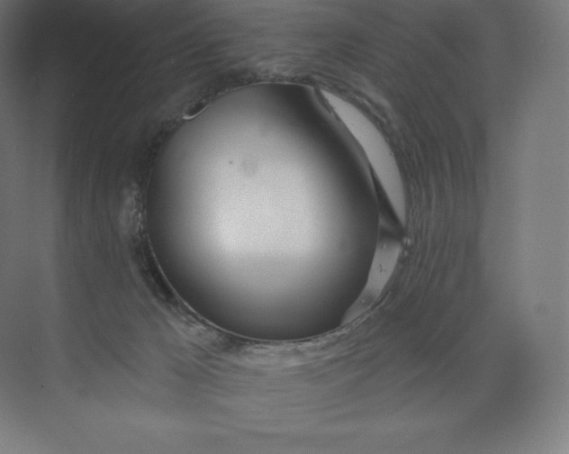 X0000074020029200609061127