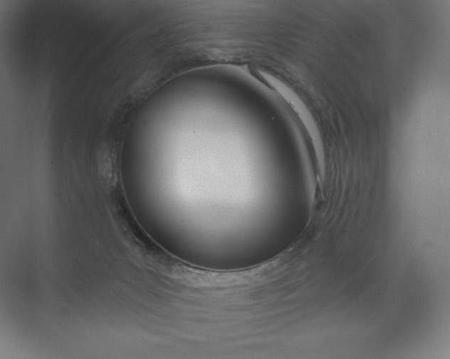 X0000074020031200609061127