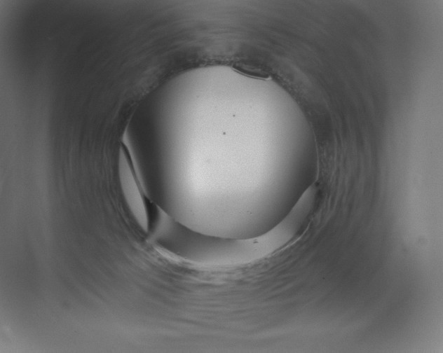 X0000074020033200609061127