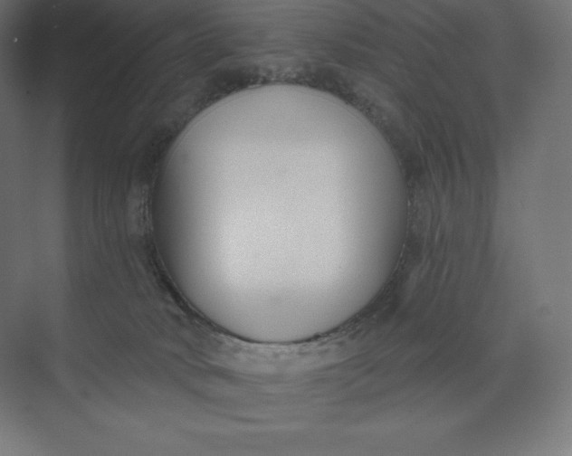 X0000074020034200609061127