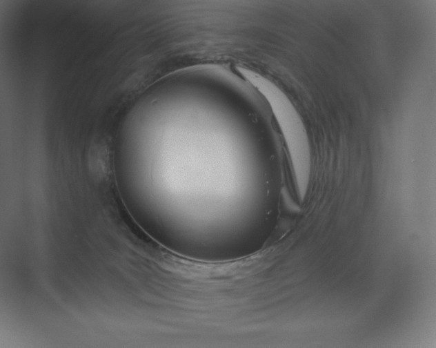 X0000074020035200609061127