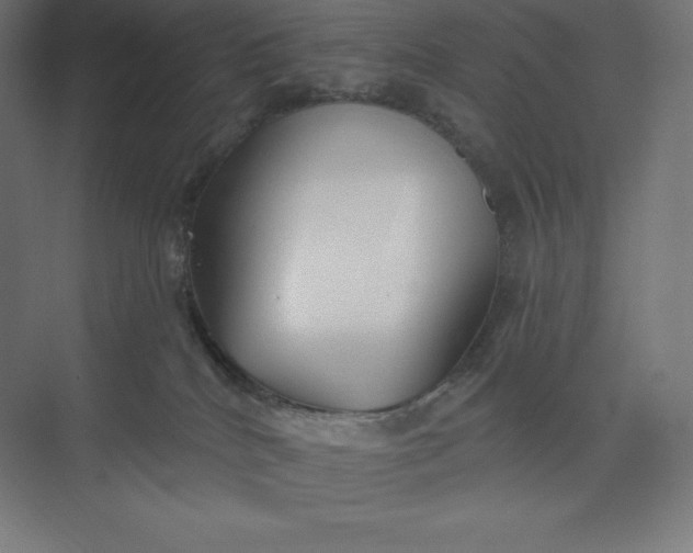 X0000074020040200609061127