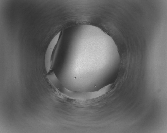 X0000074020041200609061127