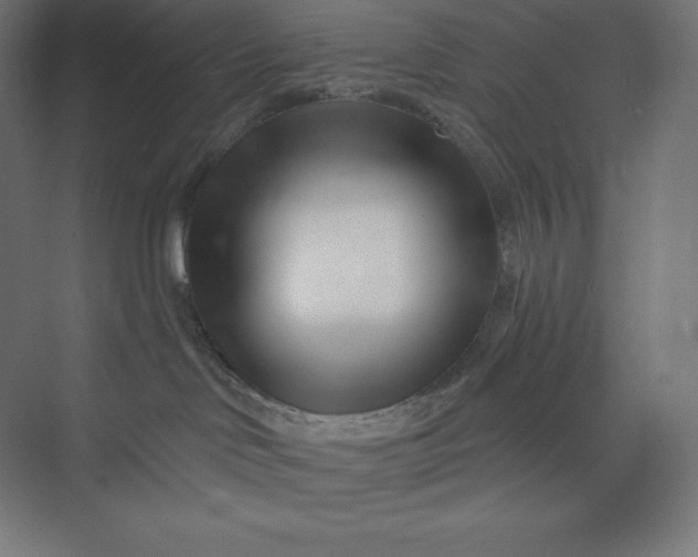 X0000074020046200609061127