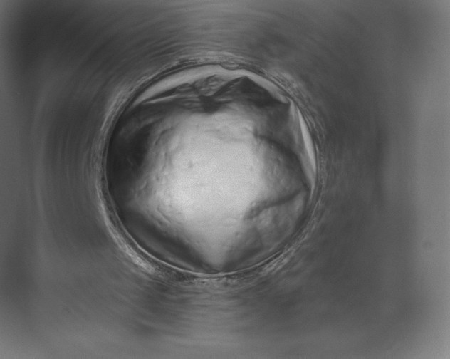 X0000074020049200609061126