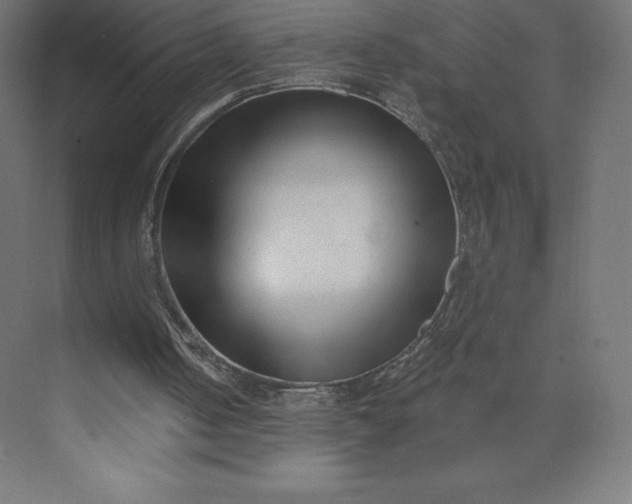 X0000074020050200609061126