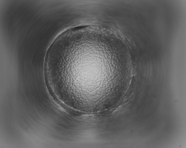 X0000074020052200609061126