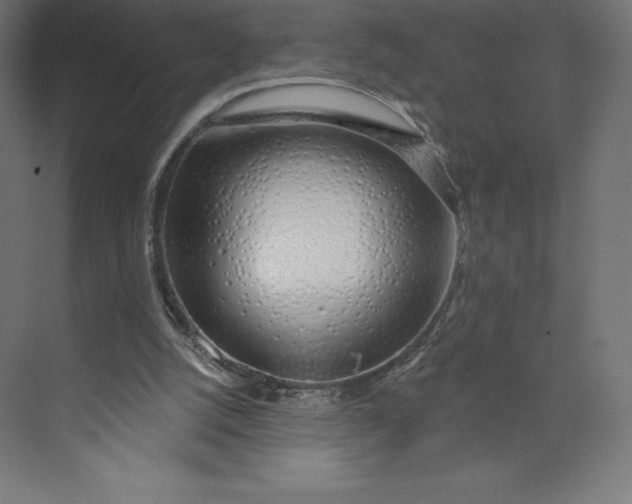 X0000074020056200609061126