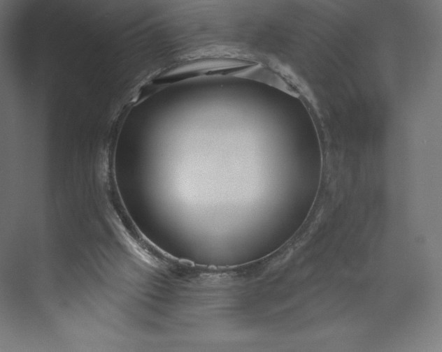 X0000074020057200609061126
