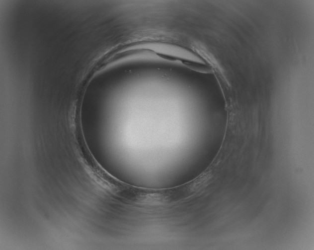 X0000074020058200609061126