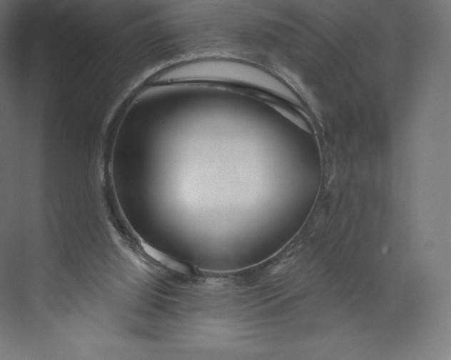 X0000074020060200609061126