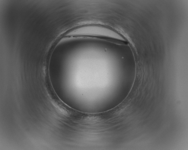 X0000074020063200609061126