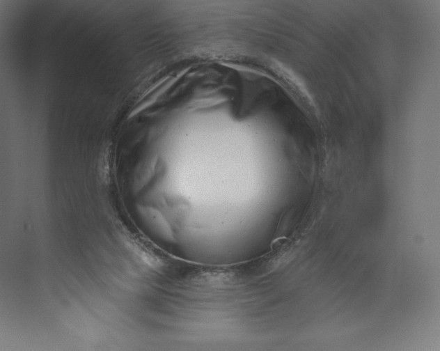 X0000074020065200609061126