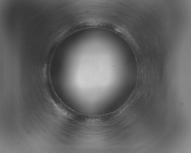 X0000074020066200609061126
