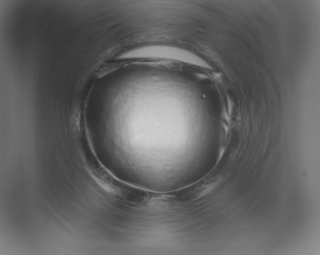 X0000074020072200609061126