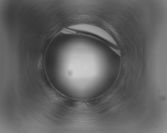 X0000074020073200609061126