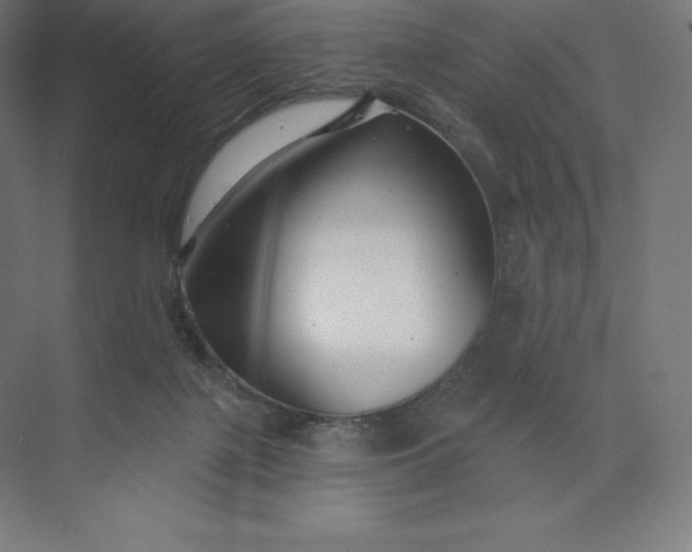 X0000074020075200609061126