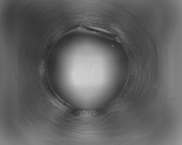 X0000074020077200609061126
