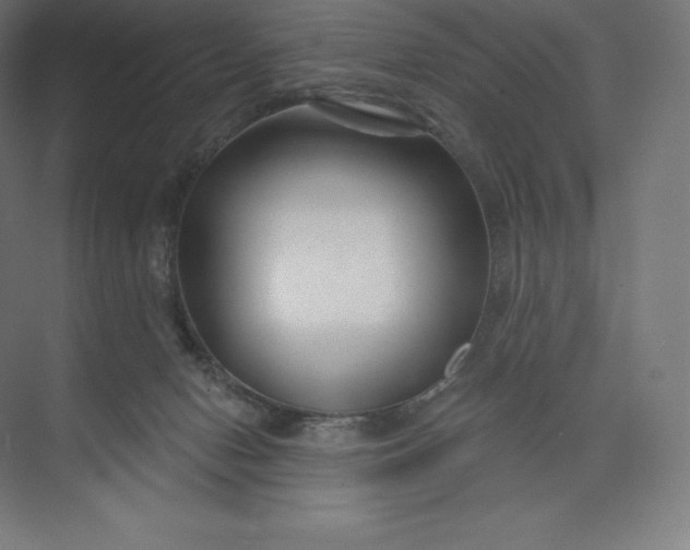 X0000074020078200609061126