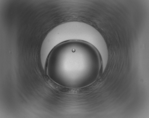 X0000074020080200609061126