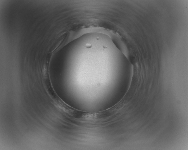 X0000074020084200609061127
