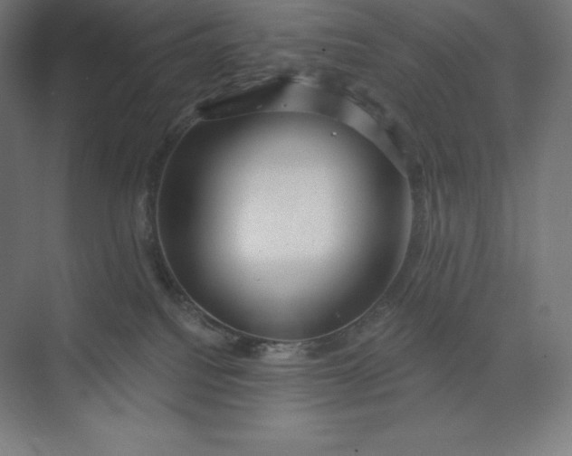 X0000074020088200609061127