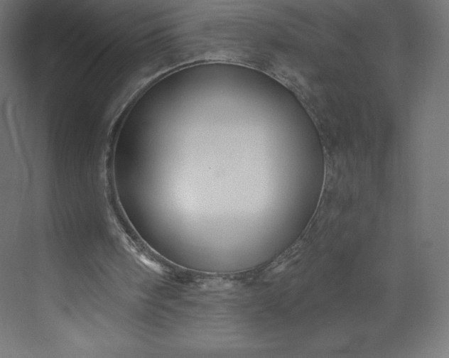 X0000074020098200609061126