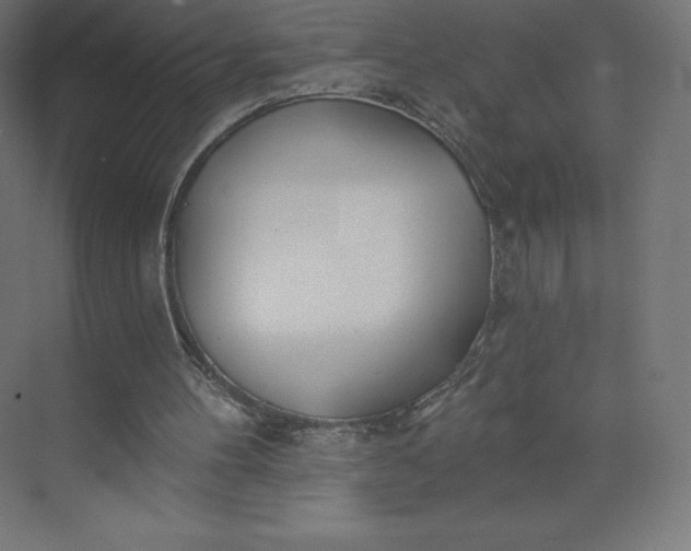 X0000074020100200609061126