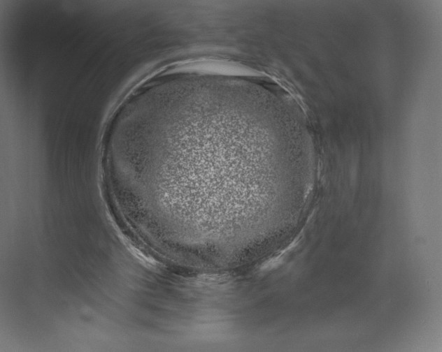 X0000074020101200609061126