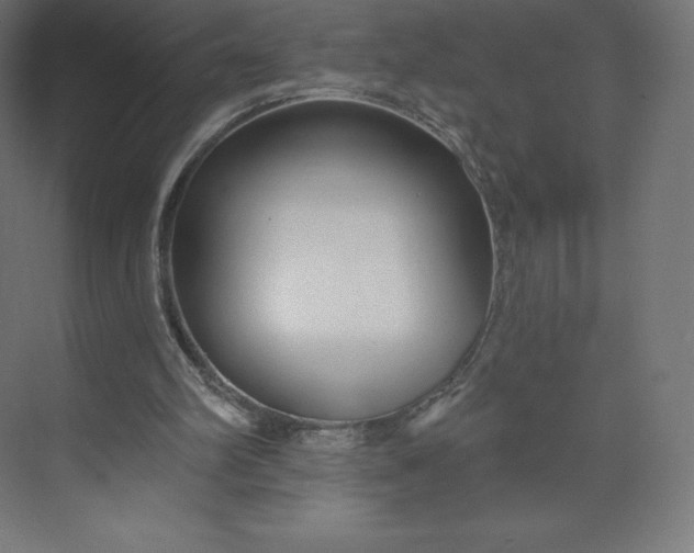 X0000074020102200609061126