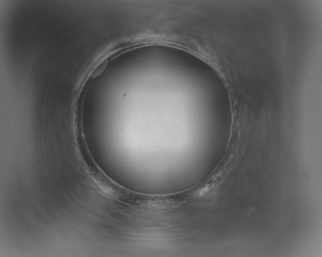 X0000074020103200609061126