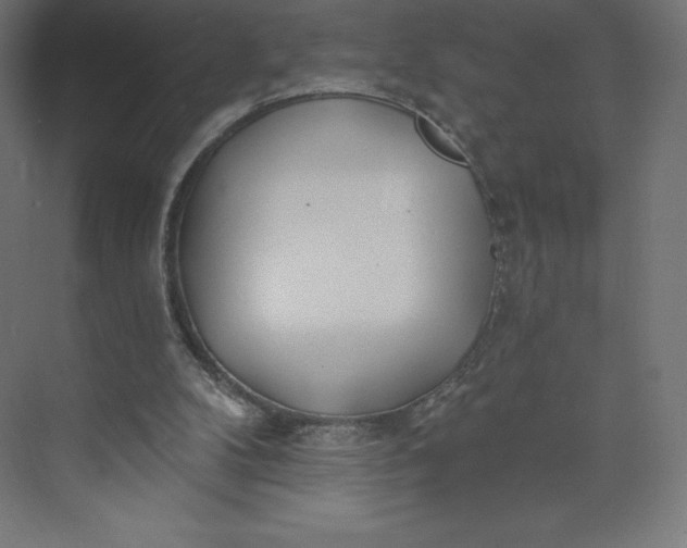 X0000074020104200609061126