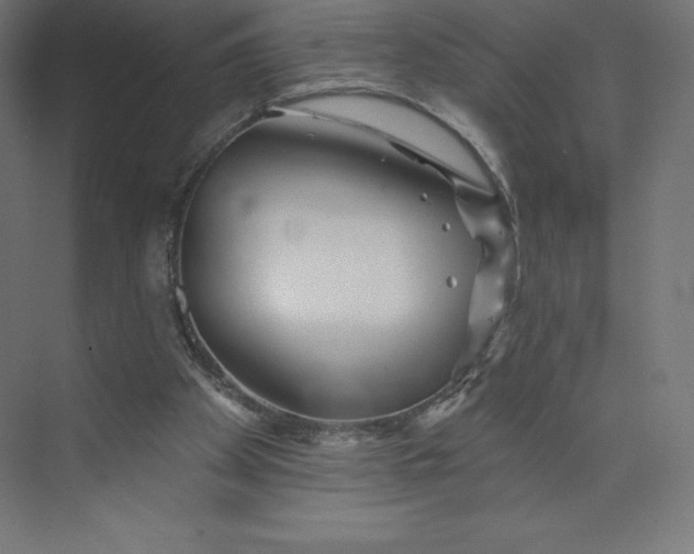 X0000074020105200609061126