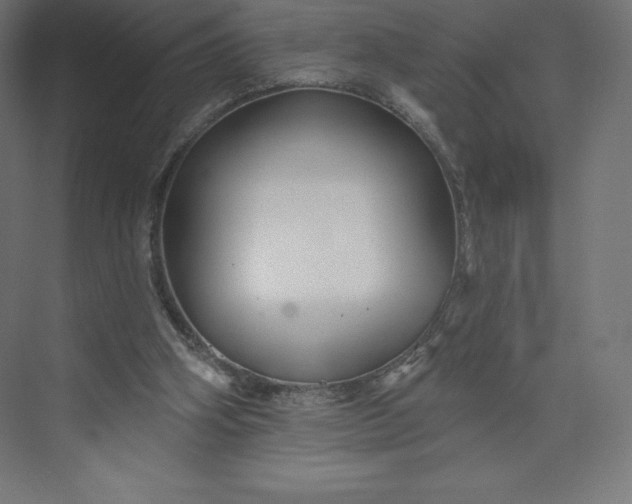 X0000074020106200609061126
